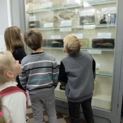 Квест в зоологическом музее для детей